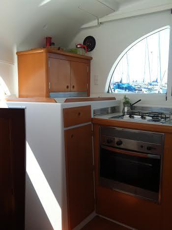 Book yachts online - catamaran - Lagoon 380 - Homo Delphinus - rent