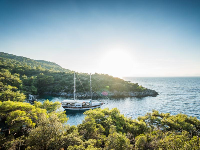 Book yachts online - other - Gulet- Alaturka 81 - Alaturka 81 - rent