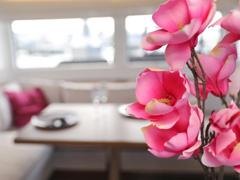 Book yachts online - catamaran - Lagoon 50 - 50 CENT - rent