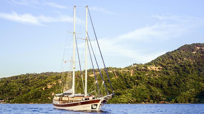 Book yachts online - other - Gulet - Wicked felina - rent