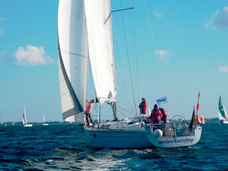 Book yachts online - sailboat - Hanse 430e - Divine Caroline - rent