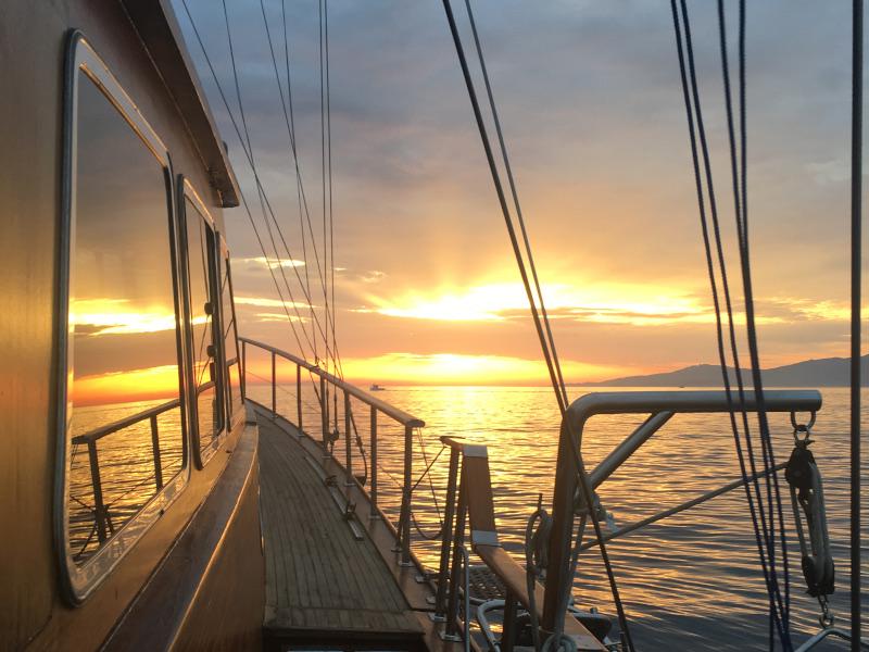 Book yachts online - other - Gulet - Atlantis - rent