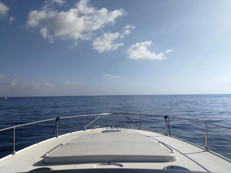 Book yachts online - motorboat - Fiart 40 Genius - Eddicott - rent
