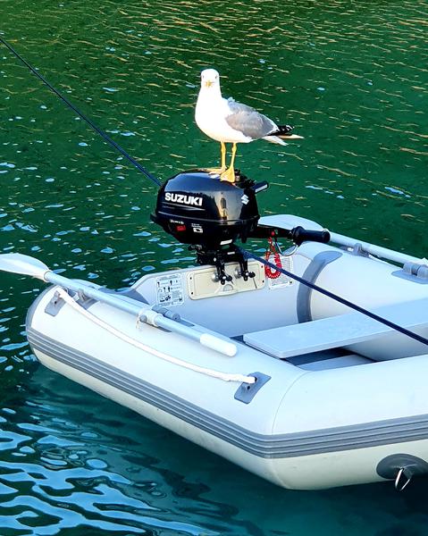 Book yachts online - sailboat - Bavaria 44 - Scorpion - rent