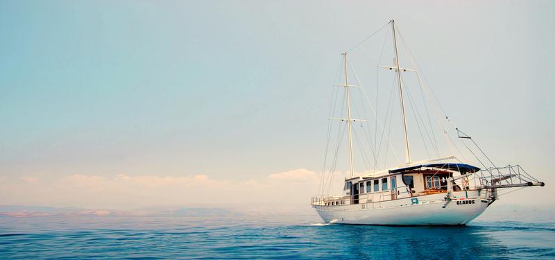 Book yachts online - other - Gulet - Glaros - rent