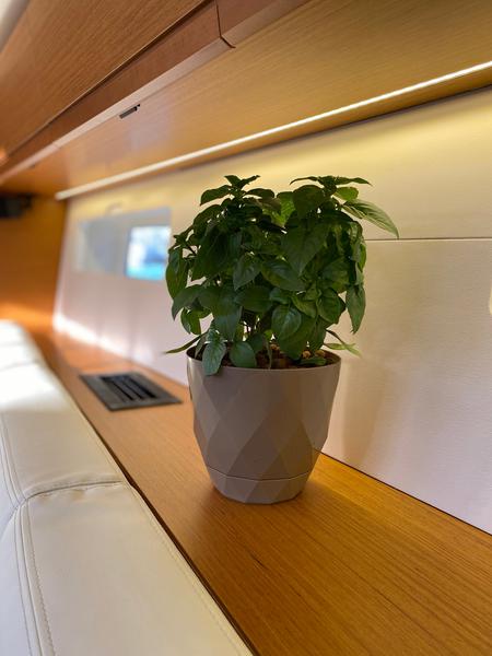 Book yachts online - sailboat - Jeanneau 54 - AEGEAN STAR - rent