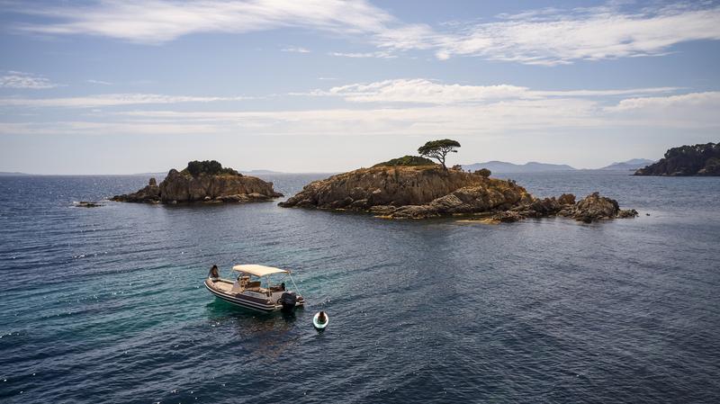 Book yachts online - other - Jokerboat Clubman 24 - Jokerboat Clubman 24 (2023) - rent