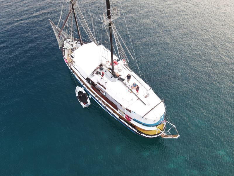 Book yachts online - other - Gulet / Logger - Elena - rent