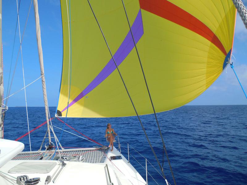 Book yachts online - catamaran - Voyage Norseman 430 - Quixotic - rent