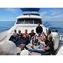 Book yachts online - motorboat - Vitech 72 - Sea Dream - rent