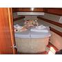 Book yachts online - sailboat - Bavaria 46 Cruiser Veritas edition - veseo - rent