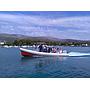Book yachts online - motorboat - Colnago 27 - Colnago 27 - rent
