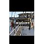 Book yachts online - other - NELSON 65 - Freedom - rent