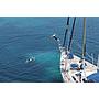 Book yachts online - sailboat - Atlantic 60 - Anastasia - rent