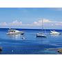 Book yachts online - motorboat - Rizzardi Posillipo Technema 80 - Prime - rent