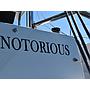 Book yachts online - catamaran - Lagoon 46 - NOTORIOUS - rent