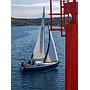 Book yachts online - sailboat - Elan 344 Impression - Sea Bird - rent