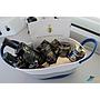 Book yachts online - catamaran - Excess 12 - Aeolian Odyssey - rent
