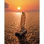 Book yachts online - catamaran - Bali 5.4. - Amura - rent