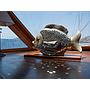Book yachts online - other - Gulet - Atlantis - rent