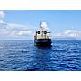 Book yachts online - motorboat - Motorboat - Lupo - rent