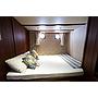 Book yachts online - other - Gulet - Pronto Blue - rent