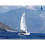 Book yachts online - catamaran - Lagoon 400 - Winnie - rent