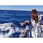 Book yachts online - sailboat - Grand Soleil 40 R - Stribor - rent