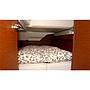 Book yachts online - False - Sun Odyssey 389 (3Cab) - Sissi - rent