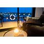 Book yachts online - False - Campi 400 - bella donna 4 - rent