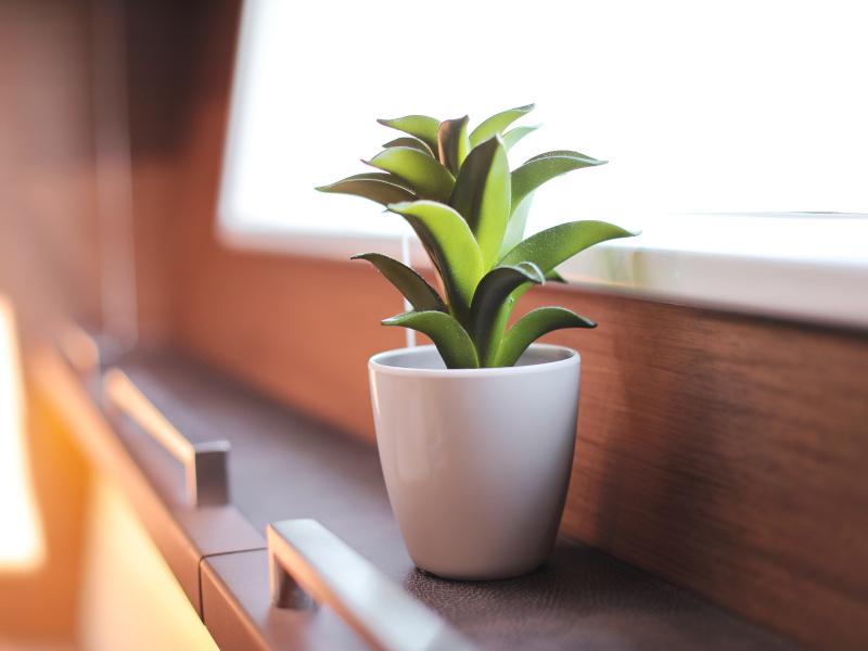 Book yachts online - catamaran - Lagoon 620 - MASTERDREAM  - rent