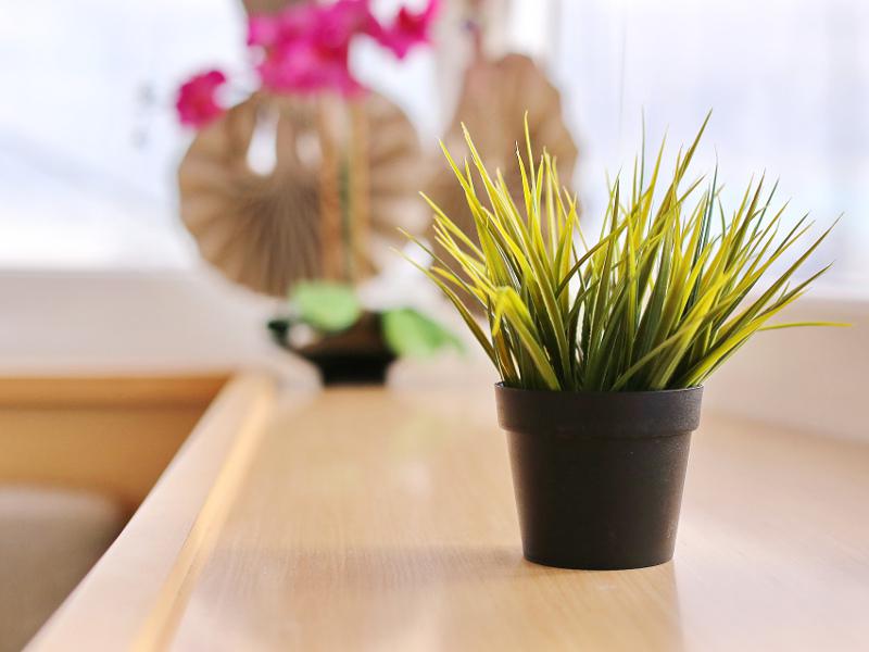 Book yachts online - catamaran - Lagoon 450 F - LADIES&amp;GENTLEMEN  - rent