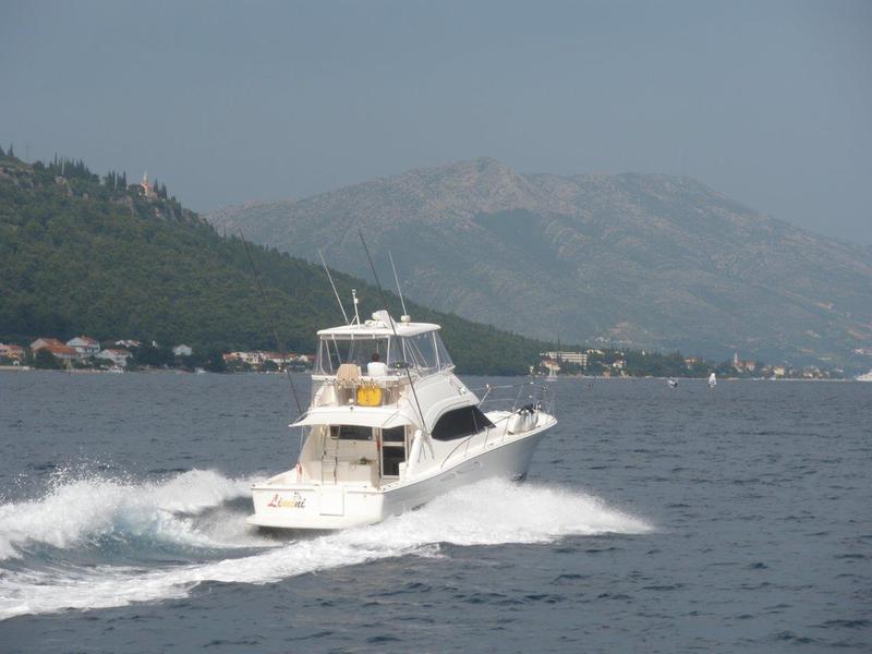 Book yachts online - motorboat - Riviera 42 (2006) - LIMINI - rent