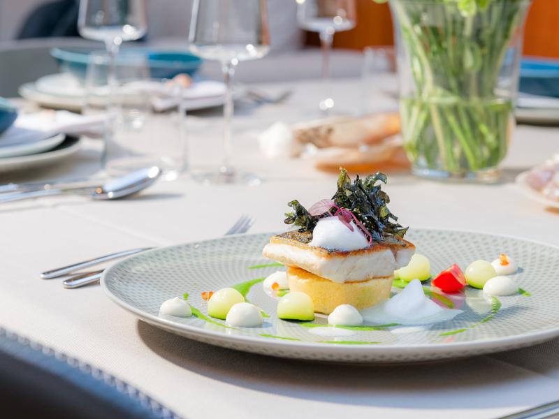 Book yachts online - motorboat - Predator 108 - QUANTUM - rent