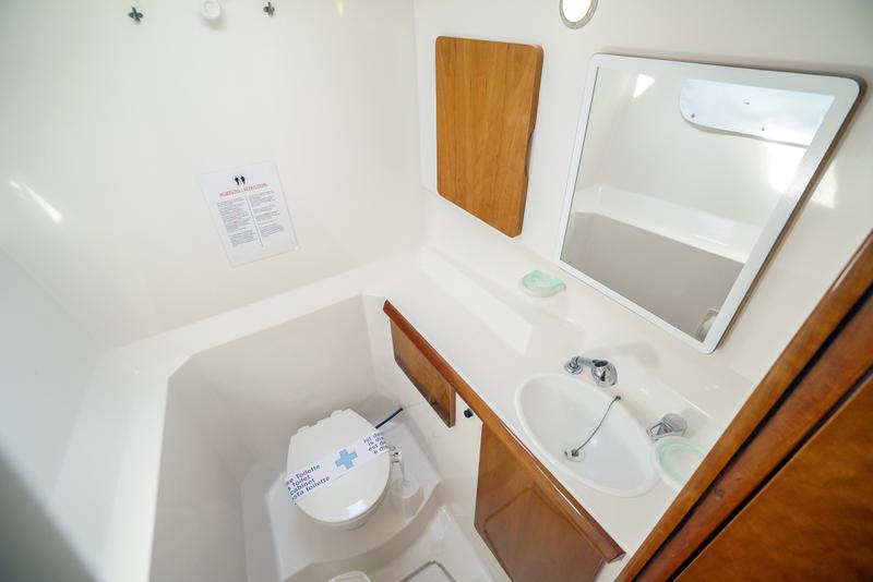 Book yachts online - catamaran - Privilege 465 - Emotion - rent