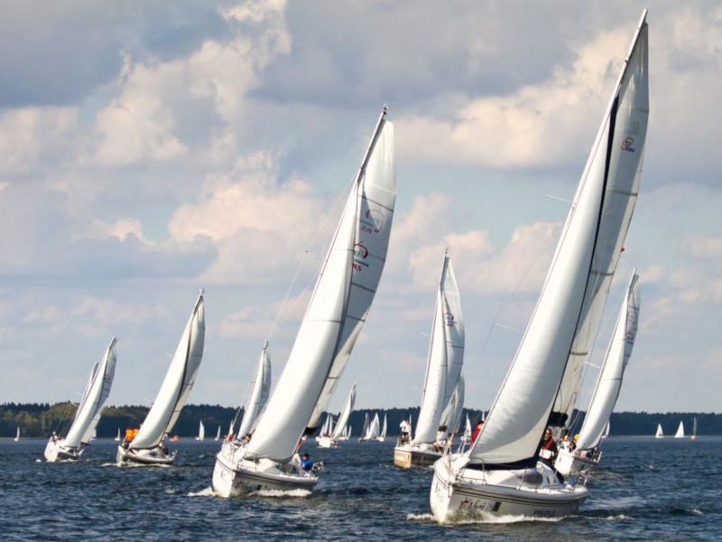 Book yachts online - sailboat - Maxus 33.1 RS Standard - LEROS - rent