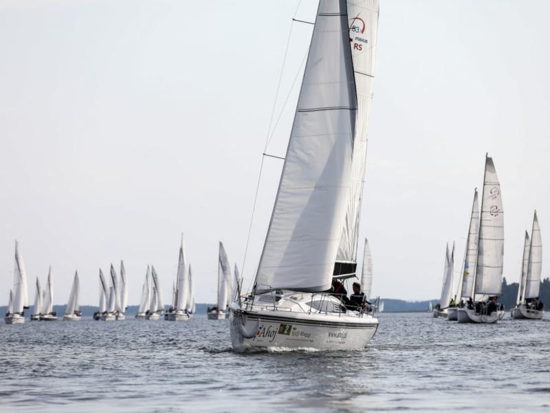 Book yachts online - sailboat - Maxus 33.1 RS Standard - SPECIAL EDITION  - rent