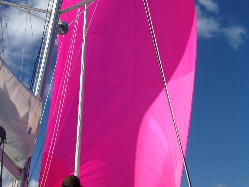 Book yachts online - catamaran - Lagoon 450 - Delicia - rent