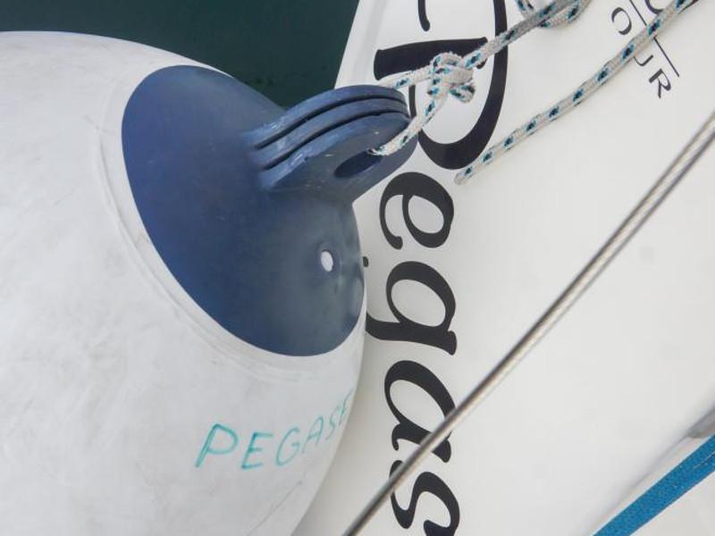 Book yachts online - sailboat - Dufour 380 - Pegase - rent