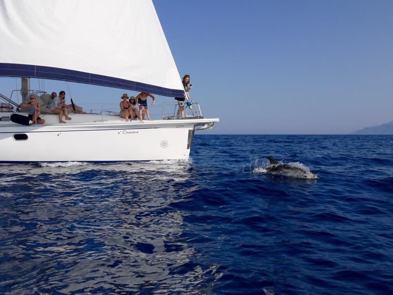 Book yachts online - sailboat - Gib Sea 51 - Cinderella - rent