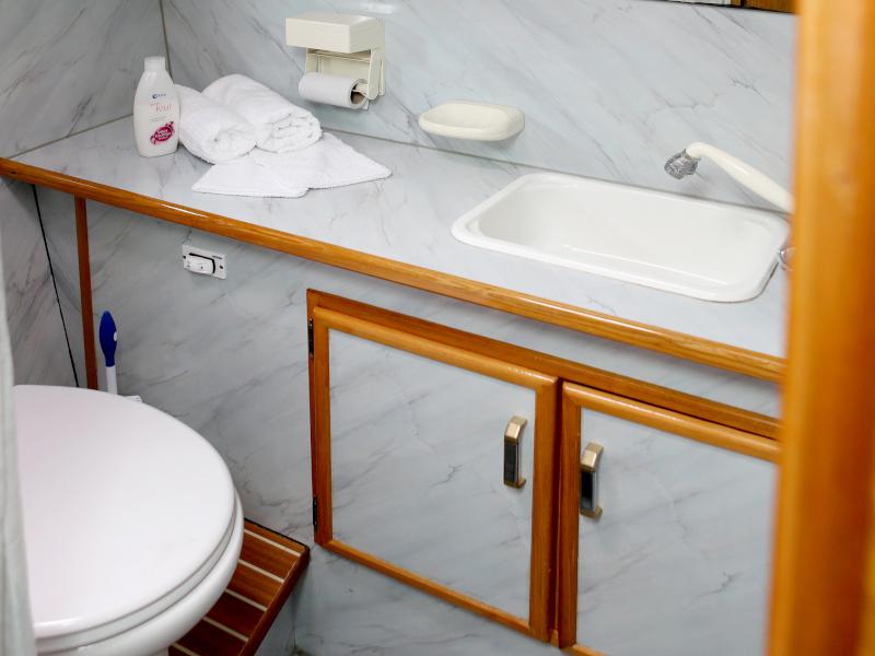 Book yachts online - motorboat - Pedro Solano 33 - Callisto - rent