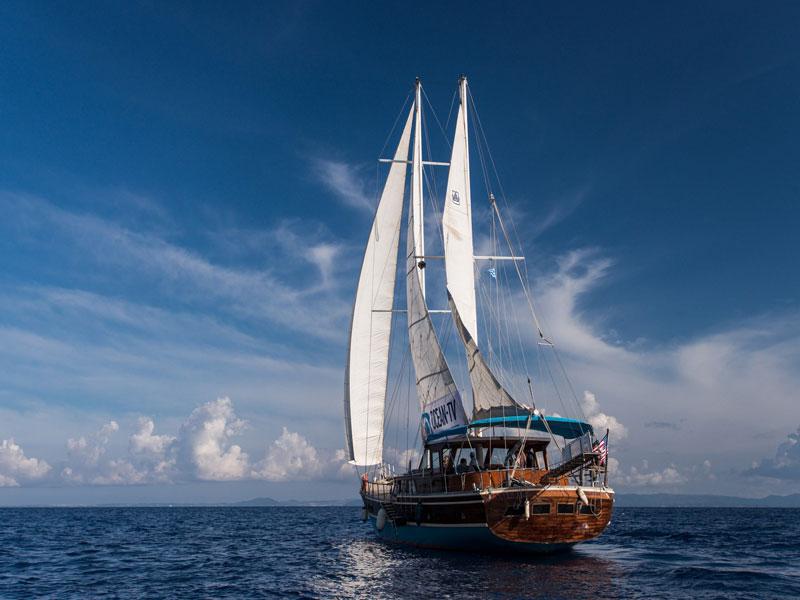 Book yachts online - other - Gulet - Valerie - rent