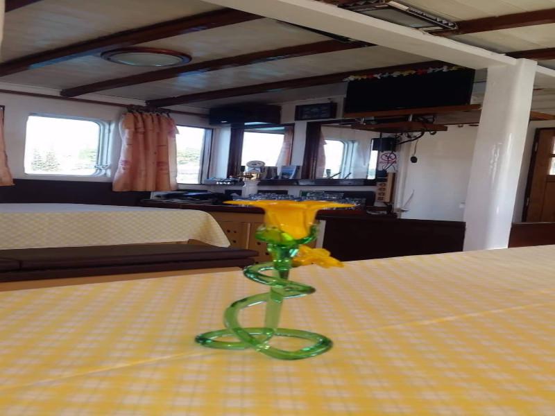 Book yachts online - other - Gulet - Orao - rent