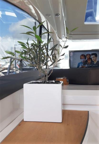 Book yachts online - motorboat - Princess V53 - Princess - rent