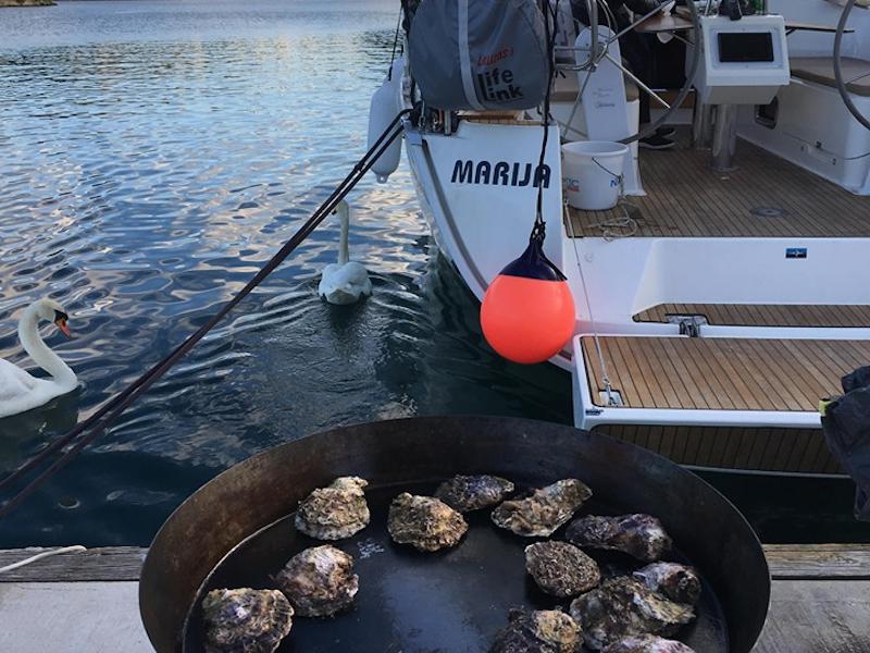 Book yachts online - sailboat - Bavaria Cruiser 37 - MARIJA - rent