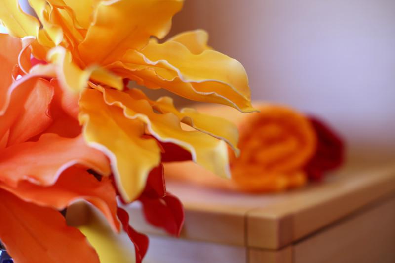 Book yachts online - catamaran - Lagoon 52 - SEA DWELLER  - rent