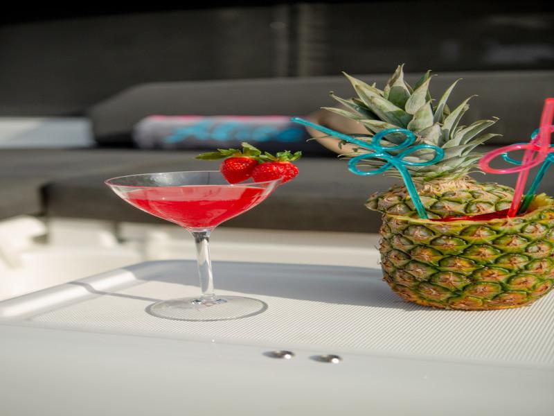 Book yachts online - catamaran - Lagoon 46 - ALICE - rent