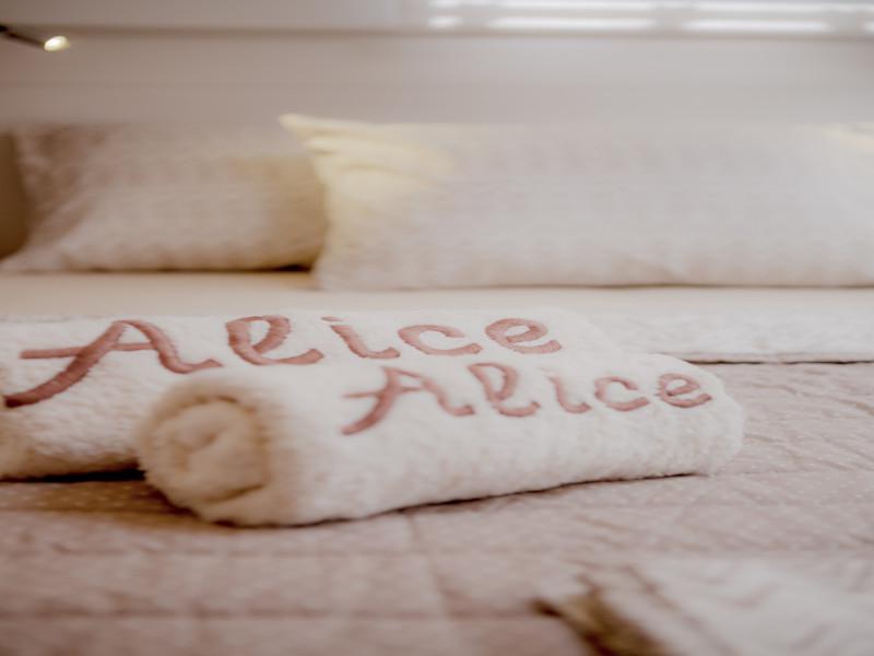 Book yachts online - catamaran - Lagoon 46 - ALICE - rent