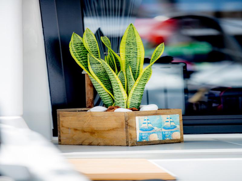 Book yachts online - catamaran - Lagoon 46 - ALICE - rent