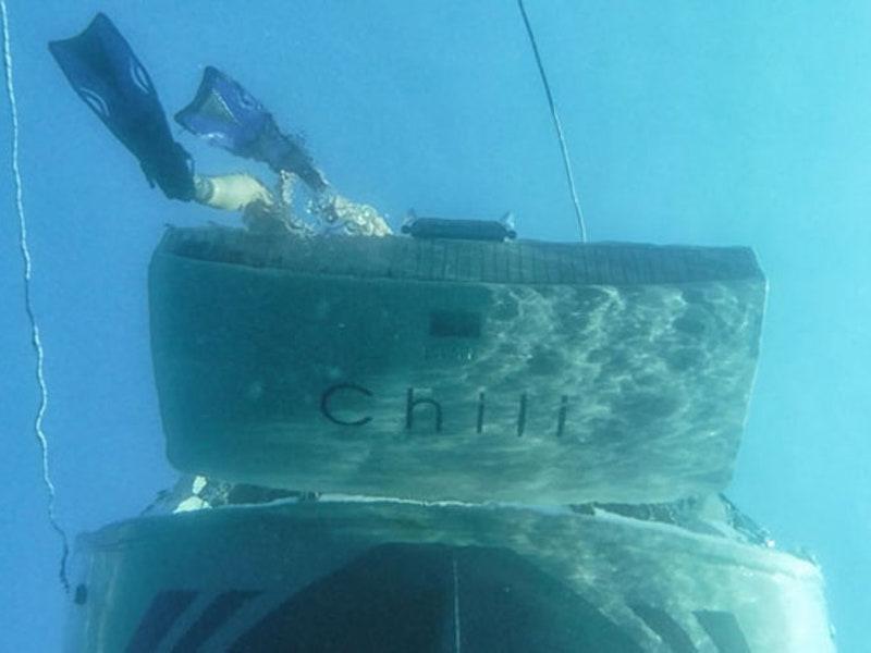 Book yachts online - sailboat - Bavaria Cruiser 33 - Chili - rent